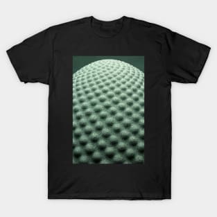 Texture - Seed T-Shirt